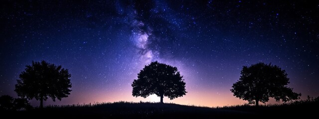 Wall Mural - the universe is on full display in a panoramic space shot featuring the milky way galaxy and a multi
