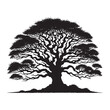 © Wolfe  - Hawthorn Tree Silhouette - Tree Vector - Hawthorn Tree Illustration - Hawthorn Tree Art.