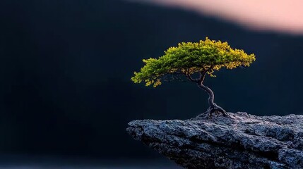 Wall Mural - lone tree atop rocky outcropping amidst dark, cloudy sky