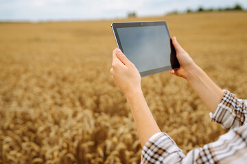 Fototapete - Close-up of a young female farmer with a modern digital tablet checking the quality of the wheat crop outdoors. Handsome agronomist uses a tablet in an agricultural field. Rich harvest concept.