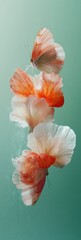Poster - Eco-Conscious Nature Transformation Ethereal Butterfly Wing and Wildflower Petal Fusion - Sustainable Design Inspiration for Biophilic Branding and Digital Wellness Content