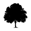 © Md - hickory tree icon, hickory tree silhouette vector illustration-simple silhouette illustration of hickory tree, perfect for hickory tree logos and icons