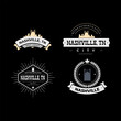 © Ipmawan - Fun vector design of Nashville city silhouette suitable for stickers or prints