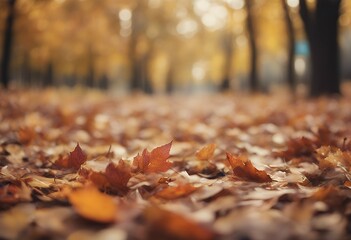 Wall Mural - park october moscow autumn foliage beautiful background maple fall bright pathway light natural gree