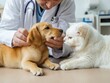 © Tetiana - Veterinarian caring for a puppy and kitten during a thorough examination in a cozy clinic environment