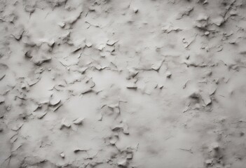 Wall Mural - grunge abstract banner text rough wall stylized space art background gray stucco texture beautiful decorative white cement surface textured light interior paint empty stone floor pattern in plaster
