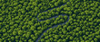 © Ihor - Top view of a forest. View from above. A huge number of green trees. Wild nature landscape. Car on a winding road. Countryside highway. Mountain serpentine. Vector illustration. Adventure banner.