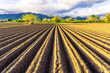 © Yaroslav - Rows of furrows on Agricultural landscape near a farm, a plowed field in the countryside. The plough is a technique used in agriculture to fertilize a land