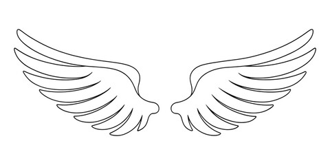 Minimalist elegant wing line art drawing in black on transparent background delicate linear feather tattoo design isolated modern vector illustration

