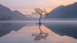 © Thomas - A solitary tree stands in the still water of a foggy lake at dawn, with soft pastel skies and perfect reflection, evoking peace, solitude, and serenity.