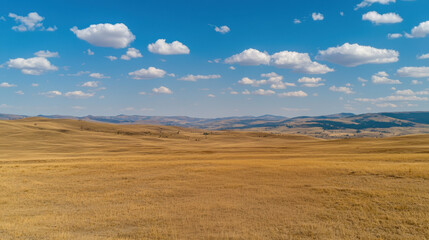 Wall Mural - vast open field under bright blue sky with fluffy clouds creates serene landscape