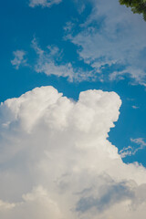 Wall Mural - blue sky with clouds
