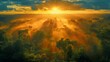 © 牛牛 林 - Majestic sunrise over a lush, green rainforest with misty rays of light.