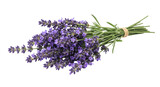 Isolated Bunch of Lavender