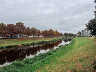 Wall Mural - river runs through a grassy area with trees lining the banks