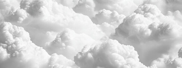 Wall Mural - monochromatic cloudscape, fluffy white clouds.