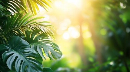 Wall Mural - lush green tropical foliage with sunlight filtering through leaves.