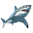 © Тоха Шикула - Dramatic shark encounter close-up underwater wildlife photography