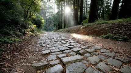 Poster - Overgrown cobblestone trail gently leads into a redwood forest, with soft sunlight filtering through the canopy, creating a tranquil atmosphere for exploration