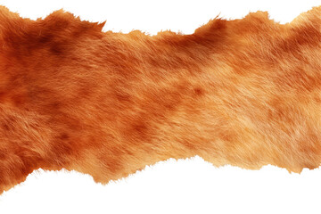 Wall Mural - Brown Fur Texture. Animal Skin Pattern For Design And Decoration Isolated On Transparent Background