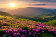 © TheseusStock - The sun rises behind the mountains, illuminating them with golden rays of light.