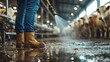 © Godam - Farmer Cleaning Barn Floor with Hose while Cows Stand in the Background