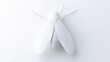© MAKASIHMAS SIDNEY - White insect model, minimal design