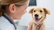 © StockHive - Joyful woman with a happy dog at the vet.