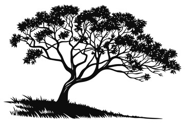 Black vector Avocado tree silhouette, a single bare branch illustration in autumn nature