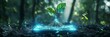 © Tung's companion - Digital Sapling Technology and Nature Symbiosis in a Forest Setting