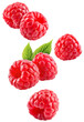 © Tim UR - Raspberry isolated png. Raspberries with leaf flying on transparent background. Raspberry fall. Falling berries no background. Vertical composition. Full depth of field. Transparent png.