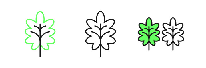 Set line Leaf icon isolated on white background. Leaves sign. Fresh natural product symbol. Vector
