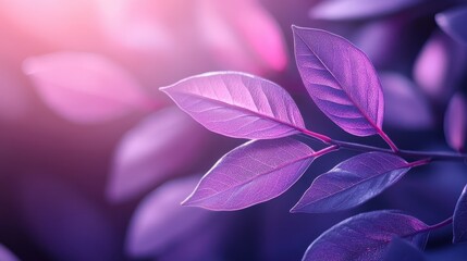 Aufkleber - Delicate pink leaves arranged artistically on a soft pastel background during daylight hours