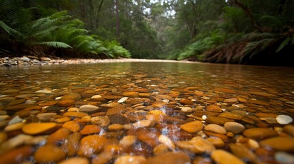Aufkleber - A serene stream flows over polished pebbles, bordered by vibrant ferns and moss, with soft sunlight illuminating the water in a peaceful forest setting