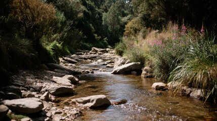 Aufkleber - A crystal-clear stream tumbles over smooth stones, framed by vibrant wildflowers and illuminated by dappled sunlight filtering through trees