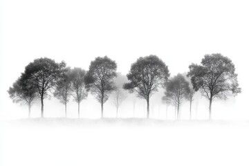Poster - Fog envelops a serene cluster of trees in a quiet forest, creating a mystical atmosphere at dawn
