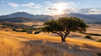Poster - A gnarled oak tree stands tall, casting a long shadow over rolling fields of golden wheat as the sun sets behind distant mountains, creating a tranquil atmosphere
