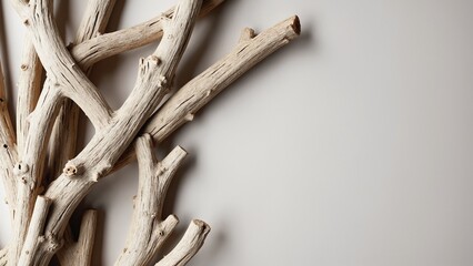 Fototapete - Unique Natural Driftwood Texture in an Artistic Arrangement on a Light Background for Stylish Home Décor and Design Inspiration