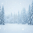 © Luciana Oluvres - Snowtime