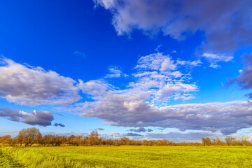 Wall Mural - a field of grass with a blue sky in the background