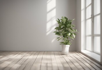 Wall Mural - empty room plant potted white floor wooden sunlight light nobody living design wall architecture shadow parquet three-dimensional interior bright indoor home house window illustration background