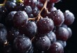 © sandra - light drops black close water isolated grape low dark bunch background berries object nature lighting natural juicy fruit delicious macro frame food agriculture organic healthy diet freshness favor