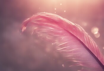 Wall Mural - artistic rays background dew close sophisticated bright feather macro light blurred sparkles transpa