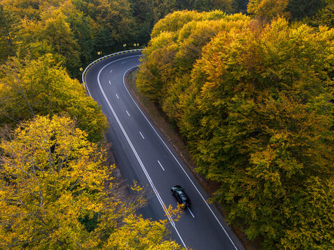 vibrant autumn colors of a forest with a winding asphalt road, aerial view