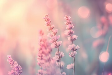 Poster - Dreamy out-of-focus flowers create a soft pastel atmosphere with gentle bokeh and a serene mood in a tranquil garden setting
