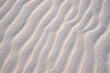 © Luis Garcia - sand ripples in the sand