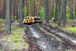 © Iuliia - Logs stacked in a forest clearing near muddy trails during a cloudy day