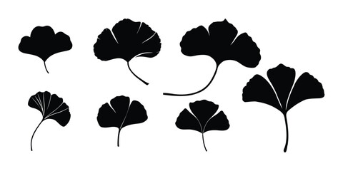 ginkgo leaf black silhouettes.