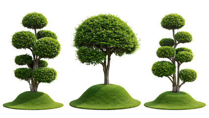 decorative landscape mound with ornamental trees showcasing manicured greenery and natural outdoor b
