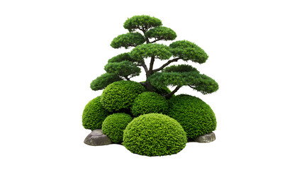 decorative landscape mound with ornamental trees showcasing manicured greenery and natural outdoor b